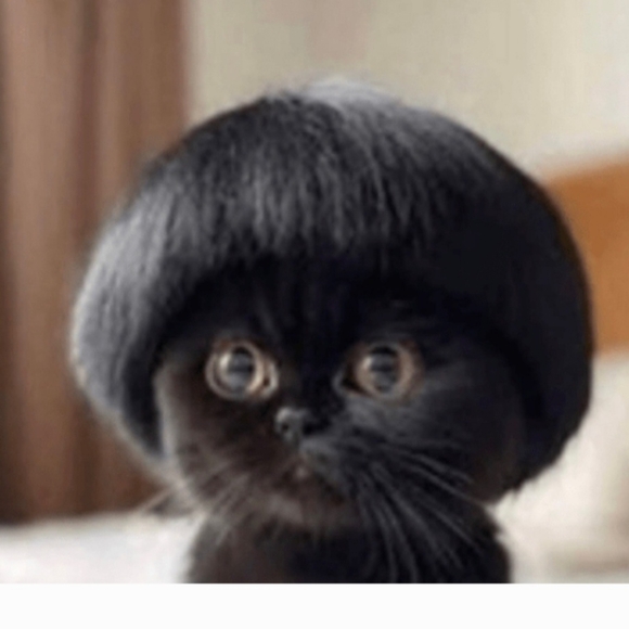 Meet your Posher, V - Picture 1 of 1